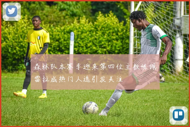 森林队本赛季迎来第四位主教练佩雷拉成热门人选引发关注