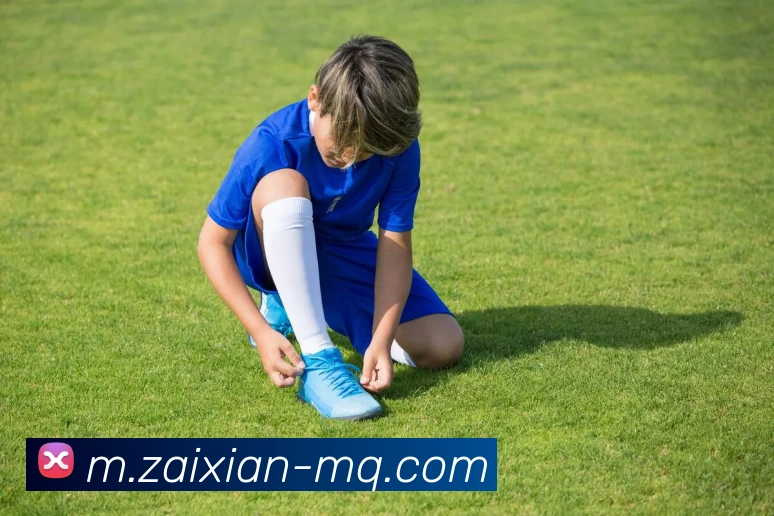 在线买球网站平台生态图