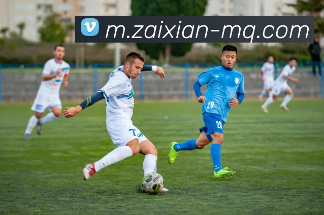 在线买球网站APP 封面图